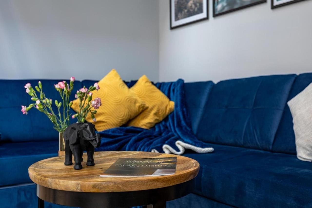 Gorska Odnowa Park Apartamento *